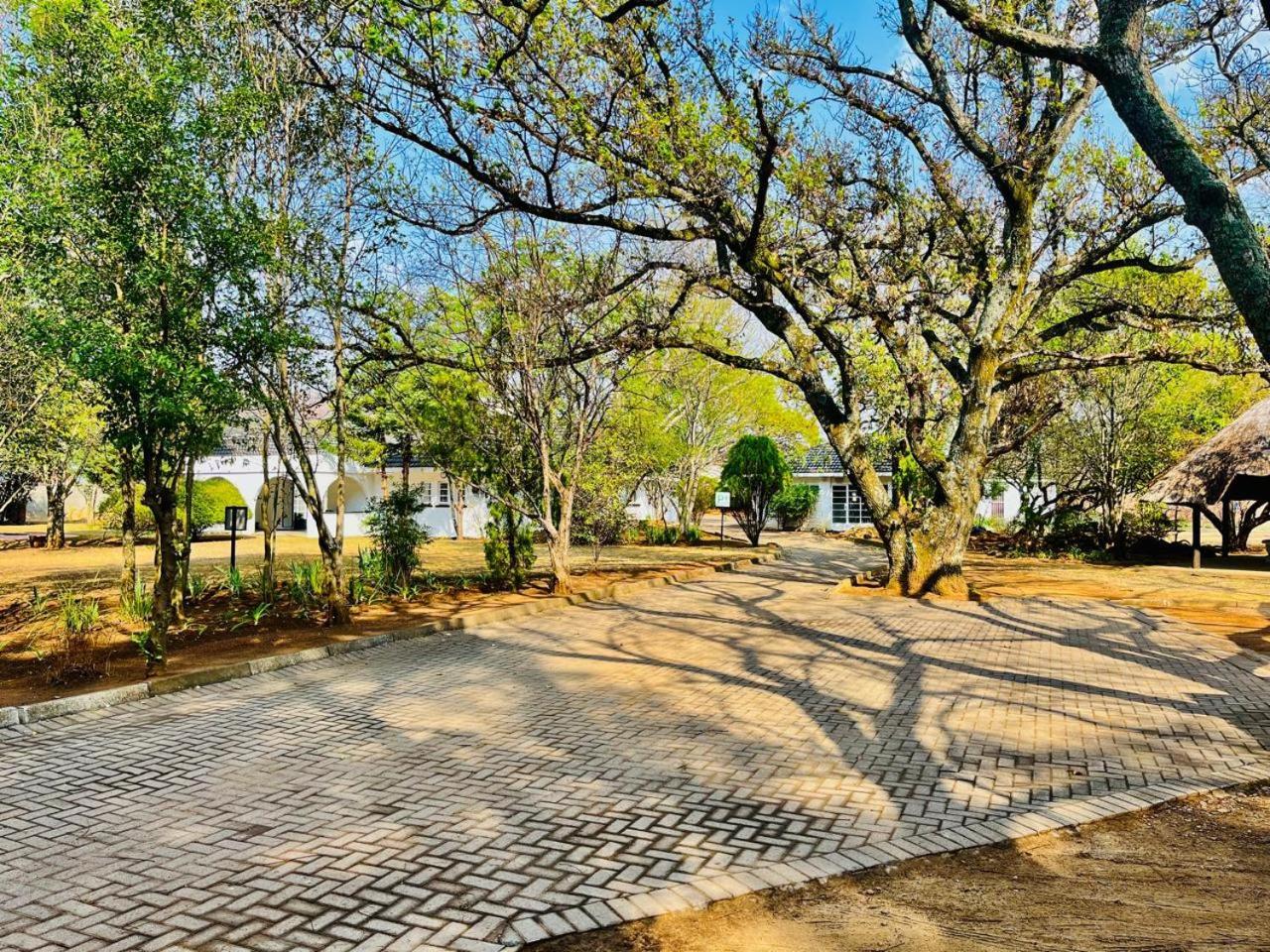 Oak Gardens Bed And Breakfast Ньюкасл Екстер'єр фото